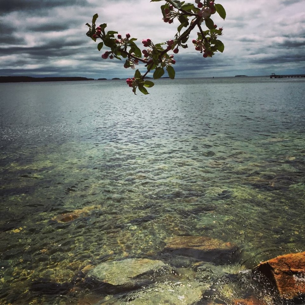 Meet your Posher, Brigitte